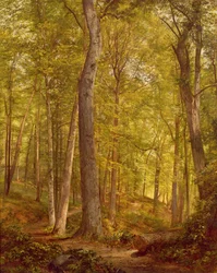 Bois de juin, Pennsylvanie, 1864